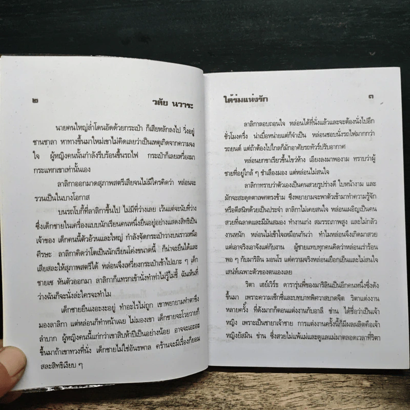 ใต้ร่มแห่งรัก - วลัย นวาระ รูปที่ 7