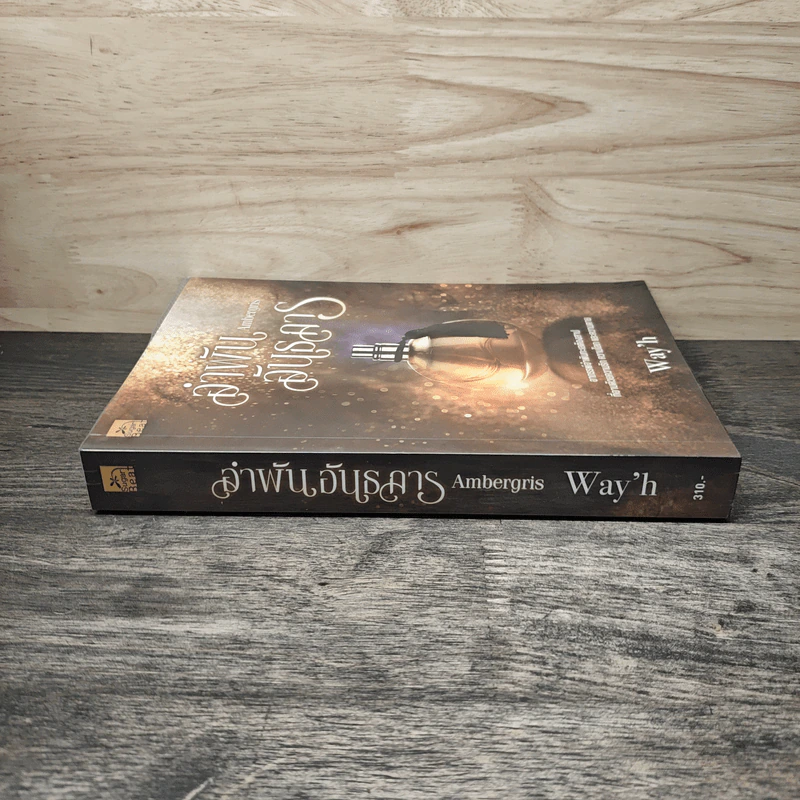 อำพันอันธการ - Way'h รูปที่ 2