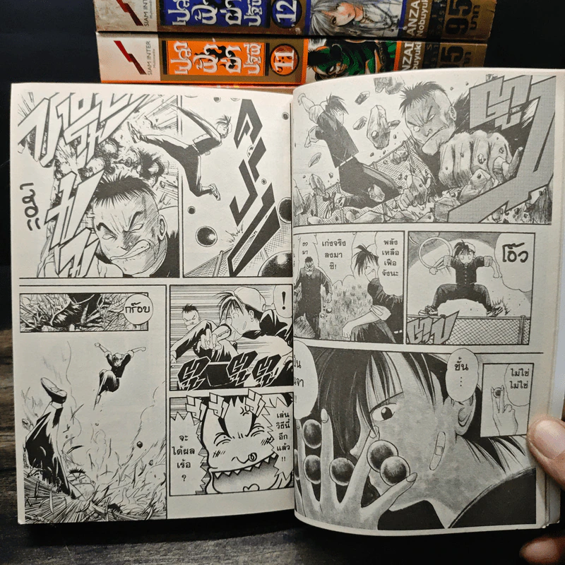 เปลวฟ้าผ่าปฐพี เล่ม 1-17 รูปที่ 8