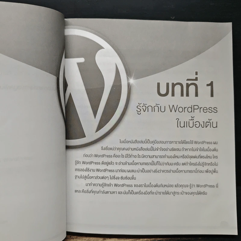 ผมใช้ WordPress หาเงินและทำการตลาดออนไลน์ได้ยังไง รูปที่ 12