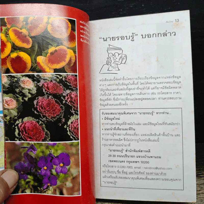 เชียงใหม่ เที่ยวทั่วไทยไปกับนายรอบรู้ รูปที่ 6