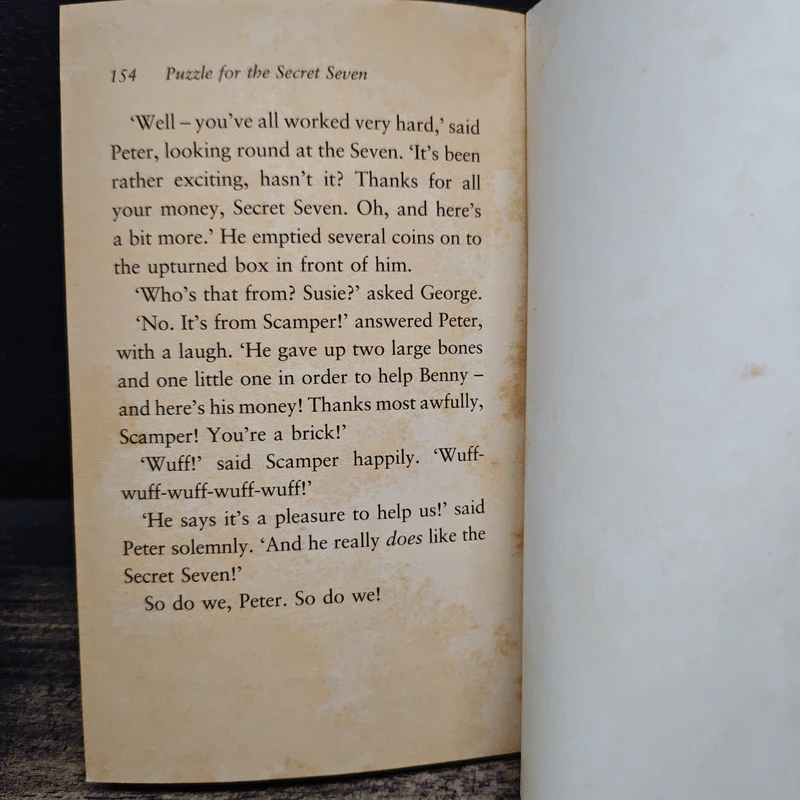 Puzzle for the Secret Seven - Enid Blyton รูปที่ 8