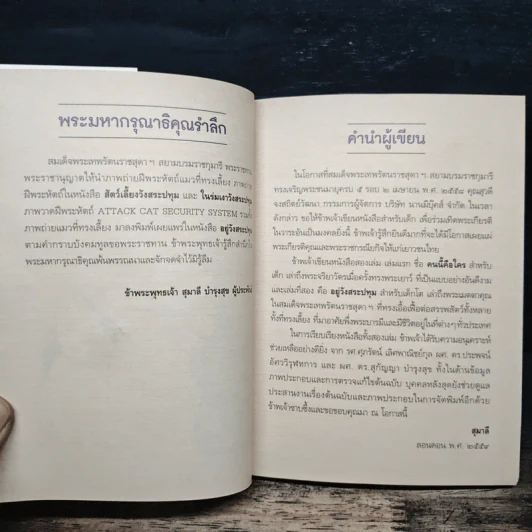 อยู่วังสระปทุม - สุมาลี, หมาจ๋า รูปที่ 6