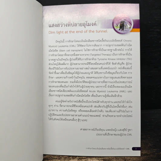 แสงสว่างที่ปลายอุโมงค์ รูปที่ 6