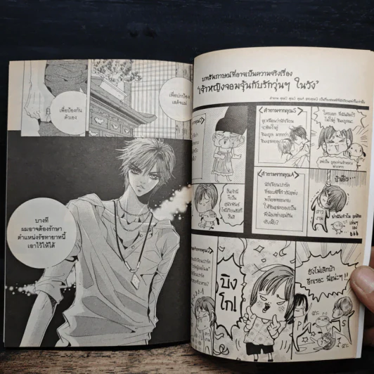 การ์ตูน เจ้าหญิงจอมจุ้นกับรักวุ่นๆในวัง 7 รูปที่ 9