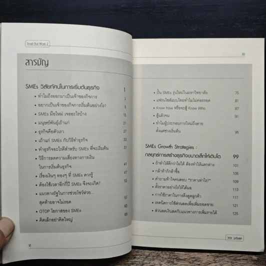 Small but work 2 - รองศาสตราจารย์วิทวัส รุ่งเรืองผล รูปที่ 7