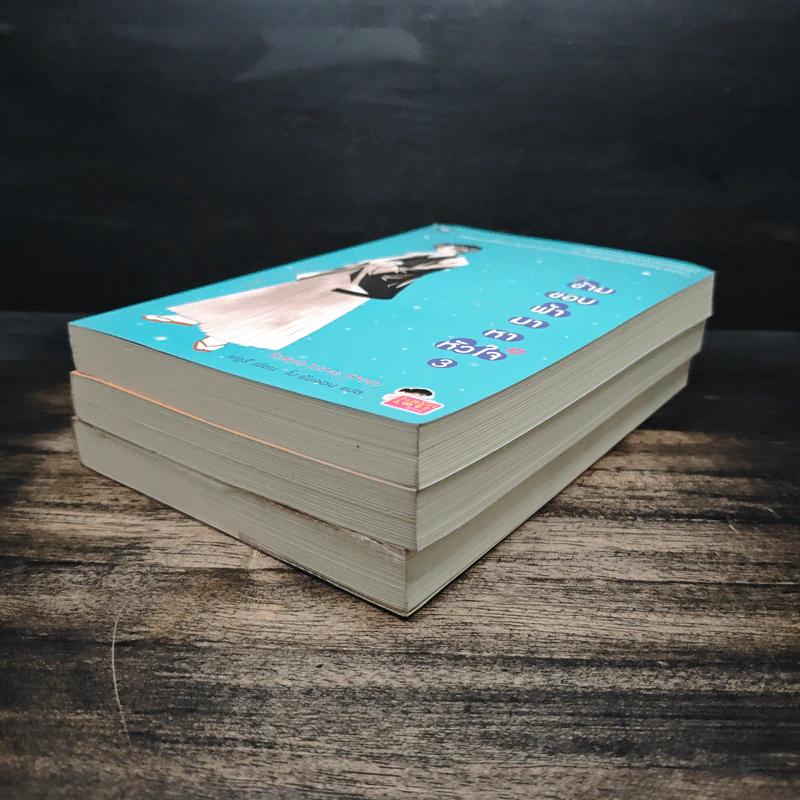 ข้ามขอบฟ้ามาหาหัวใจ เล่ม 1-3 - Choi Yu Ri, ใบ ยัมจอน รูปที่ 3