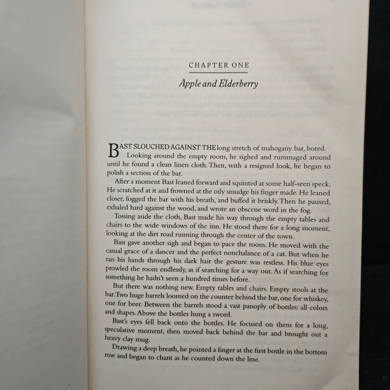 The Wise Man's Fear - Patrick Rothfuss รูปที่ 8