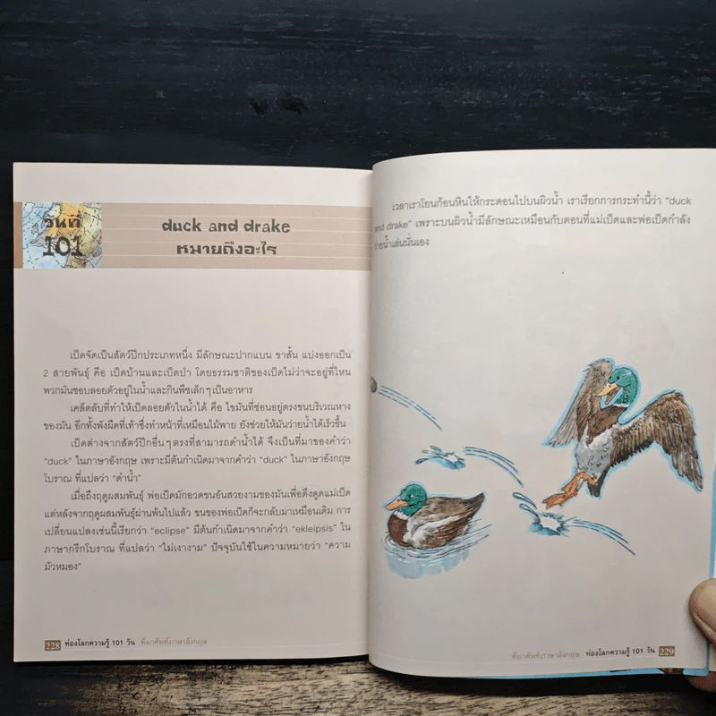 ท่องโลกความรู้ 101 วัน ที่มาศัพท์ภาษาอังกฤษ - Curiosity Box รูปที่ 10