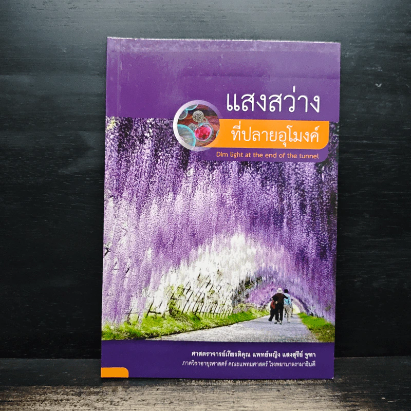 แสงสว่างที่ปลายอุโมงค์ รูปที่ 1