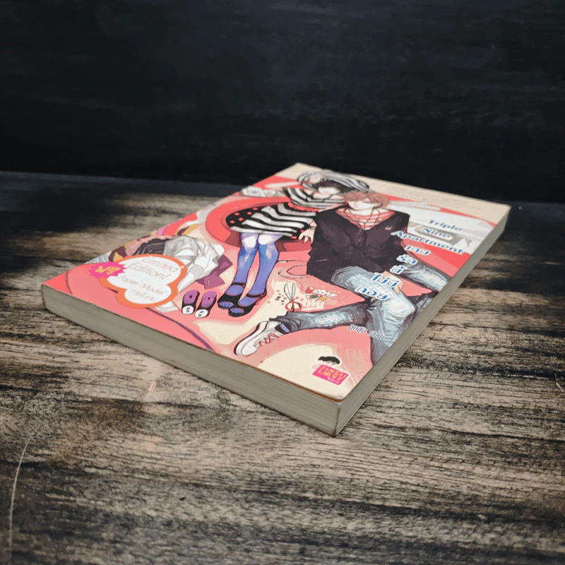 Triple Nine Apartment เกมรักนี้ไม่มีถอย - ลูกชุบ รูปที่ 4