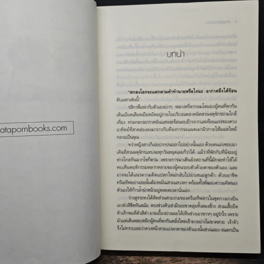 ดั่งพรหมลิขิตรัก - ฐิญาดา รูปที่ 7