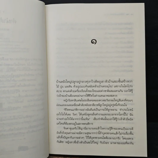 ลิขิตแฝดต่างภพ - เพลงใบไม้ รูปที่ 7