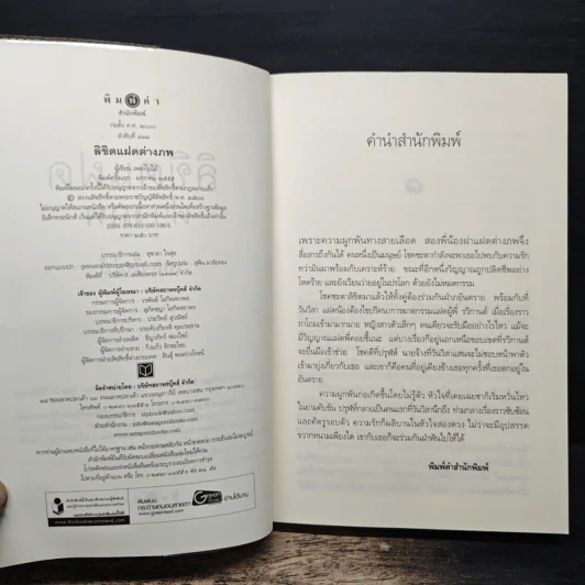 ลิขิตแฝดต่างภพ - เพลงใบไม้ รูปที่ 6