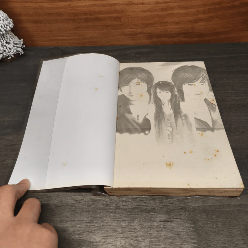 แผนรักซ่อนกลอลวนหัวใจ - หวัสสา รูปที่ 6