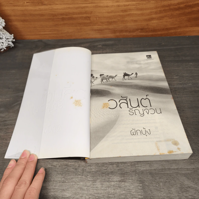 วสันต์รัญจวน - ผักบุ้ง รูปที่ 6