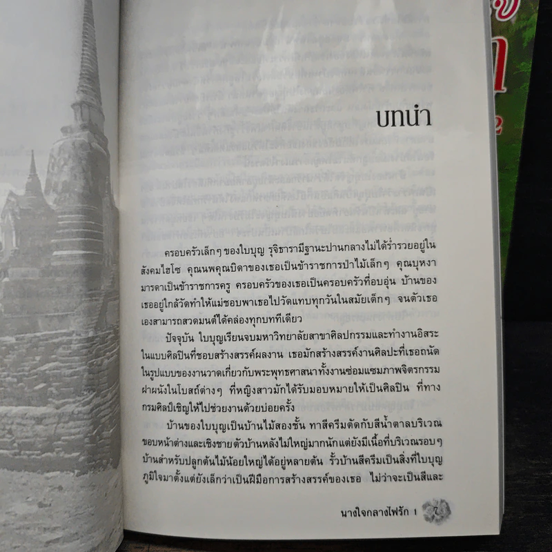 นางใจกลางไฟรัก 2 เล่มจบ - เตชิตา รูปที่ 7
