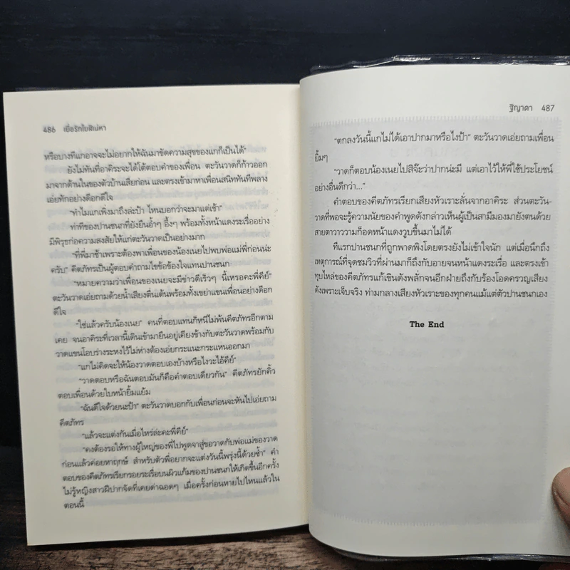 เยื่อรักใยสิเน่หา - ฐิญาดา รูปที่ 8