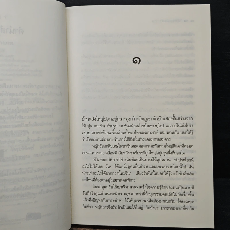 ลิขิตแฝดต่างภพ - เพลงใบไม้ รูปที่ 7