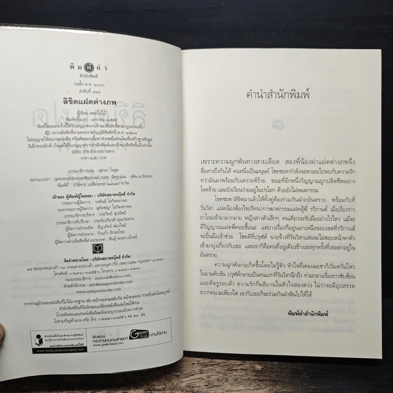 ลิขิตแฝดต่างภพ - เพลงใบไม้ รูปที่ 6