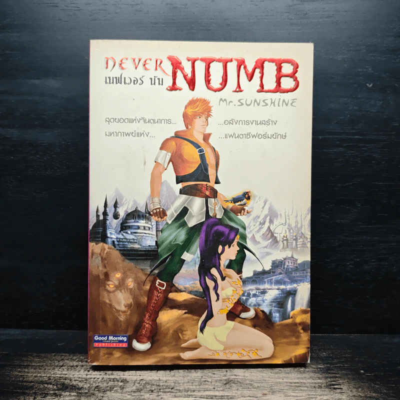 เนฟเวอร์ นัม Never Numb - Mr.Sunshine รูปที่ 1