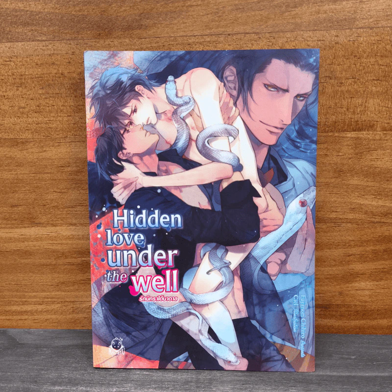 Hidden Love Under the Well รักนิทราใต้บาดาล - ฟูจิโมริ จิฮิโระ รูปที่ 1