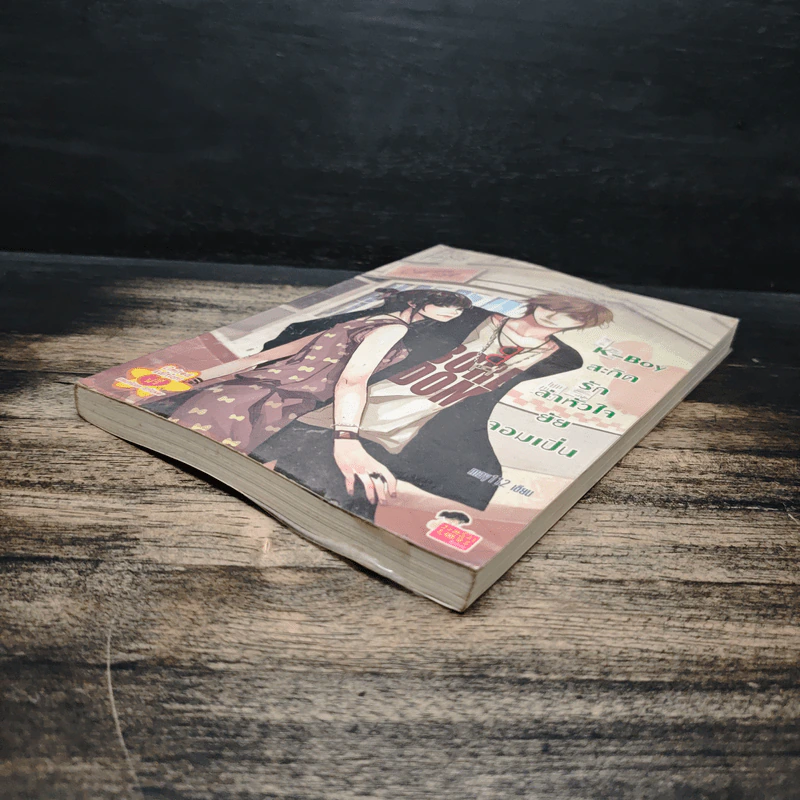 K-Boy สะกิดรักล่าหัวใจยัยจอมเปิ่น - may112 รูปที่ 4