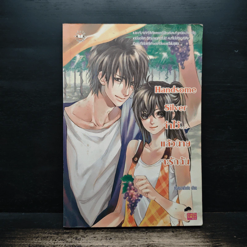 Handsome Silver จำไว้...แล้วนายจะรักฉัน - หัวสมองตีบตัน รูปที่ 1