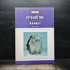 กระต่าย Rabbit - กิตติ ฉายากุล