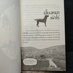 สารคดีปีจอ เรื่องรักของหมาไทย - ลุงทอง บ้านไร่ รูปที่ 8