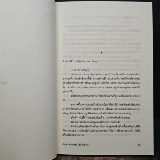 ฆาตกรรม (ไม่) อำพราง - ฮาตะ ทาเคฮิโกะ รูปที่ 8