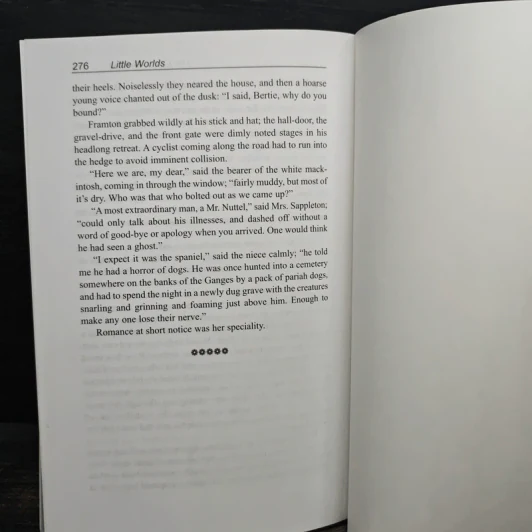 Little Worlds - Peter Guthrie Mary Page รูปที่ 10