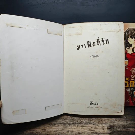 มาเฟียที่รัก 2 เล่มจบ - นู๋ผักบุ้ง รูปที่ 6