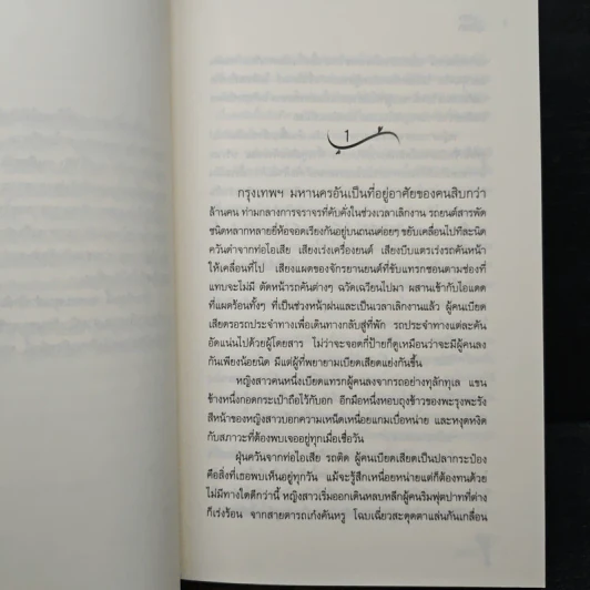รุ่งอรุณ อุ่นไอรัก - เรซิน รูปที่ 7