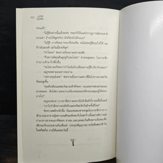 รุ่งอรุณ อุ่นไอรัก - เรซิน รูปที่ 8