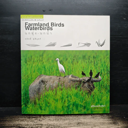 Farmland Birds Waterbirds นกทุ่ง - นกน้ำ - สมิทธิ์ สุติบุตร รูปที่ 1