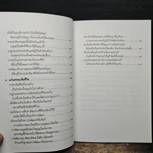 แก่นแท้ของพระพุทธศาสนา - พระพรหมคุณาภรณ์ (ป.อ.ปยุตโต) รูปที่ 8