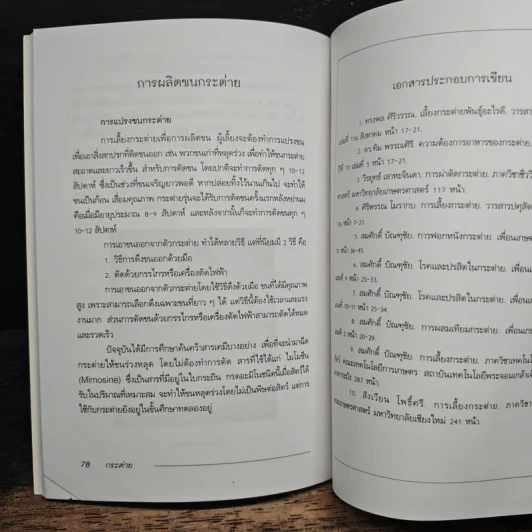 กระต่าย Rabbit - กิตติ ฉายากุล รูปที่ 8