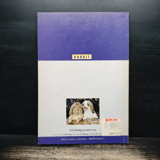 กระต่าย Rabbit - กิตติ ฉายากุล รูปที่ 2