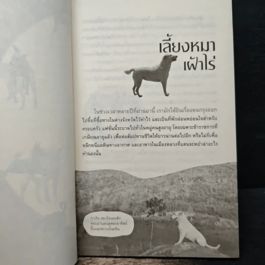สารคดีปีจอ เรื่องรักของหมาไทย - ลุงทอง บ้านไร่ รูปที่ 8