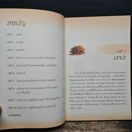 ถั่งเช่า สุดยอดยาอายุวัฒนะ - รศ.ดร.มณจันทร์ เมฆธน รูปที่ 7