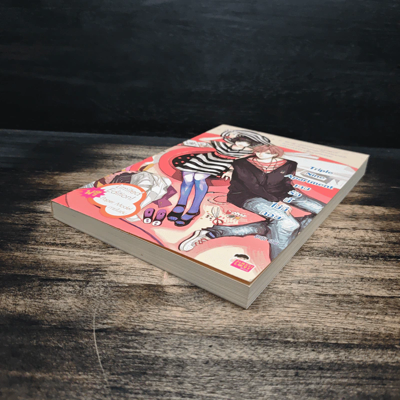 Triple Nine Apartment เกมรักนี้ไม่มีถอย - ลูกชุบ รูปที่ 4