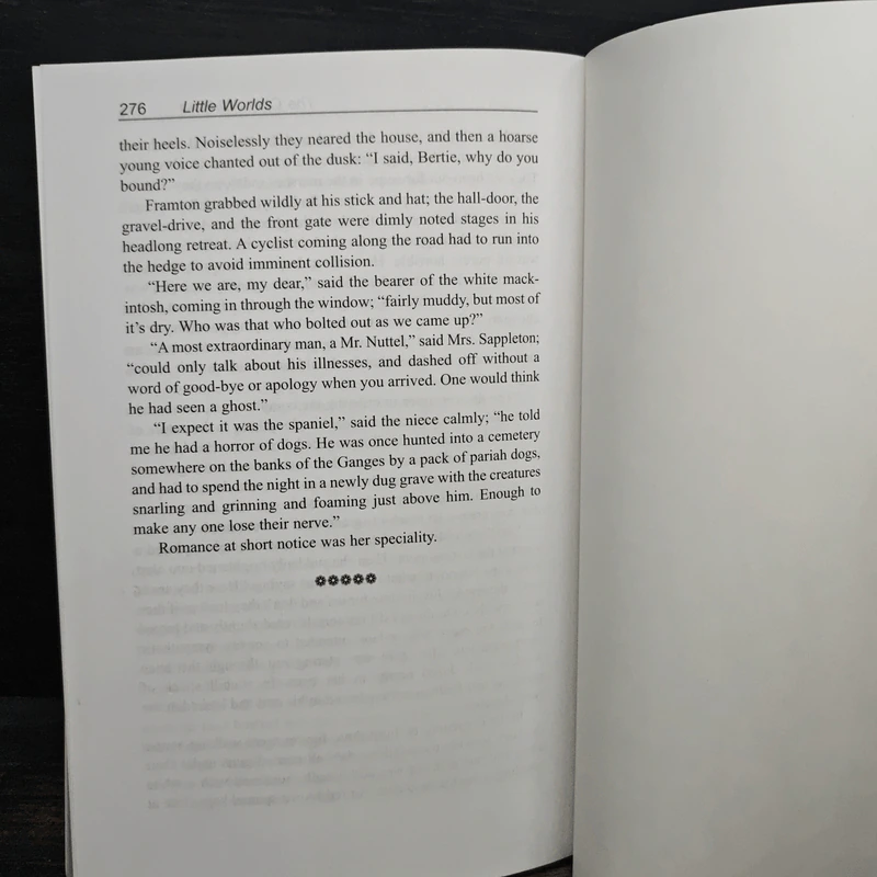 Little Worlds - Peter Guthrie Mary Page รูปที่ 10