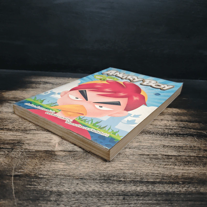 Angry Boy - ว.แหวน รูปที่ 4
