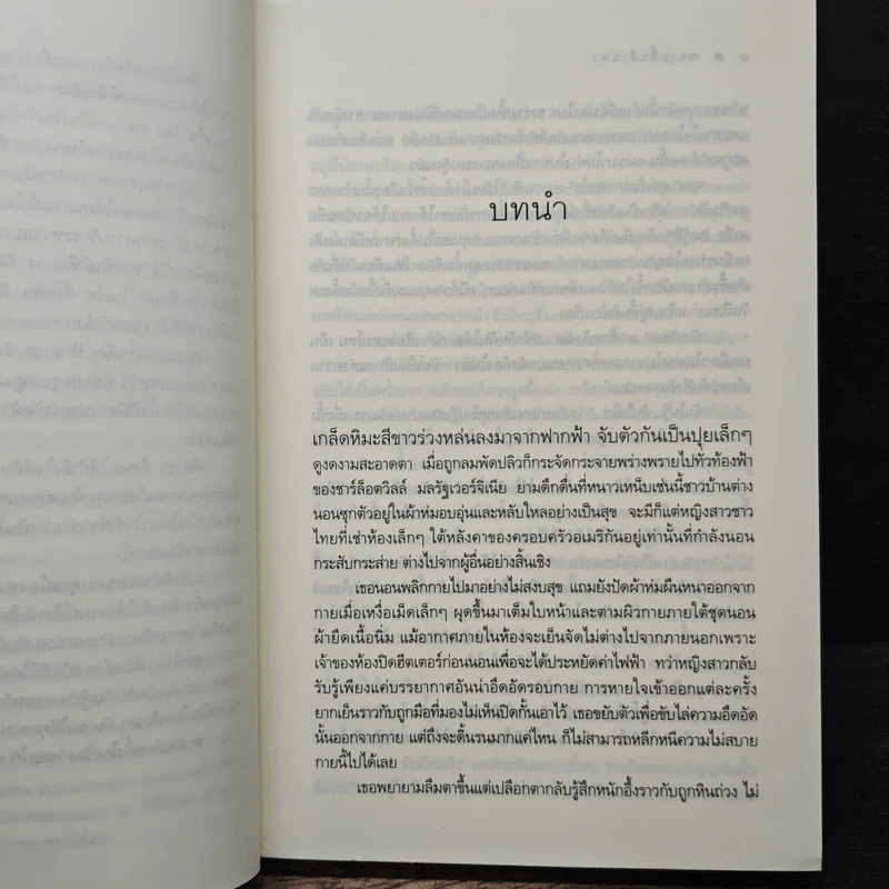 ตราบสิ้นสิเน่หา - ณารา รูปที่ 7