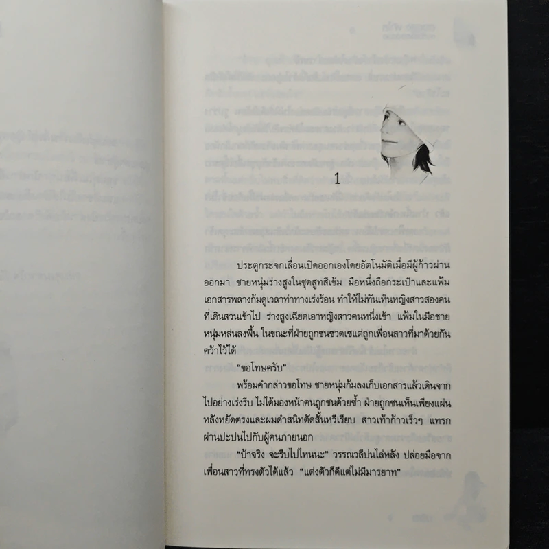 ดอยสูง ฟ้าใส กับหัวใจสองดวง - เรซิน รูปที่ 7