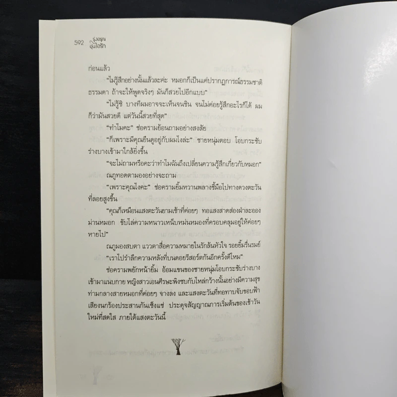 รุ่งอรุณ อุ่นไอรัก - เรซิน รูปที่ 8