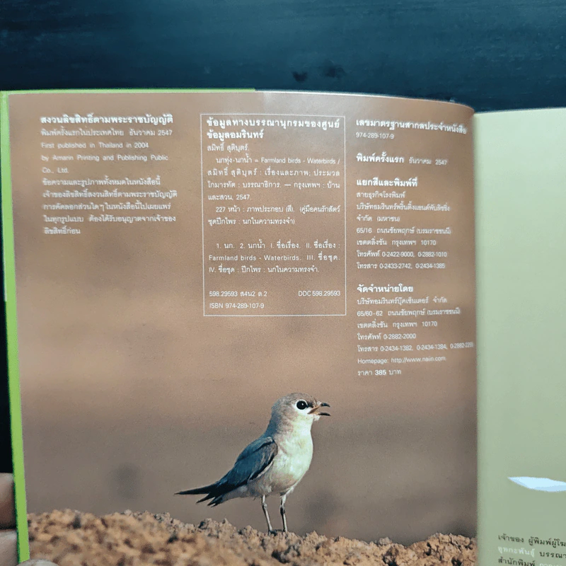 Farmland Birds Waterbirds นกทุ่ง - นกน้ำ - สมิทธิ์ สุติบุตร รูปที่ 6
