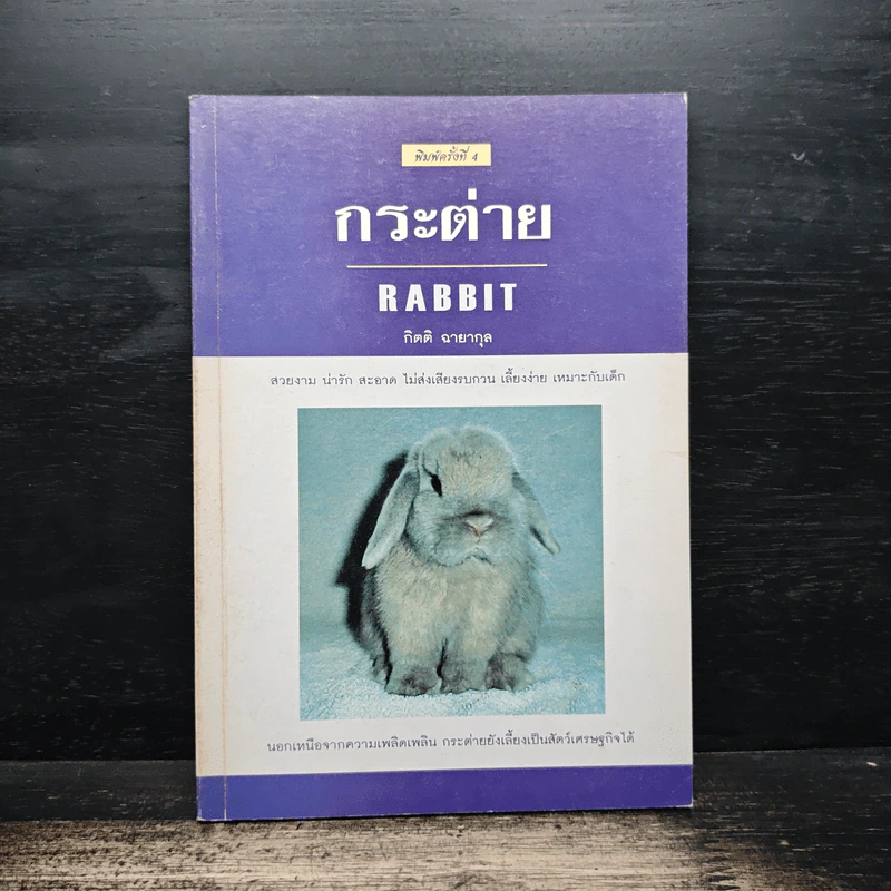 กระต่าย Rabbit - กิตติ ฉายากุล รูปที่ 1