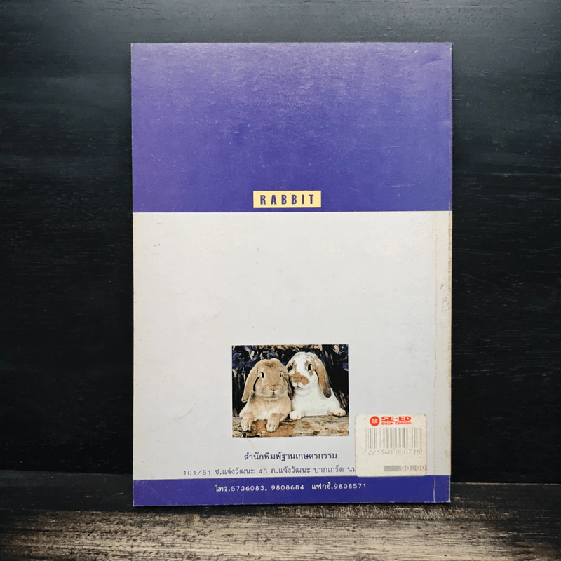 กระต่าย Rabbit - กิตติ ฉายากุล รูปที่ 2